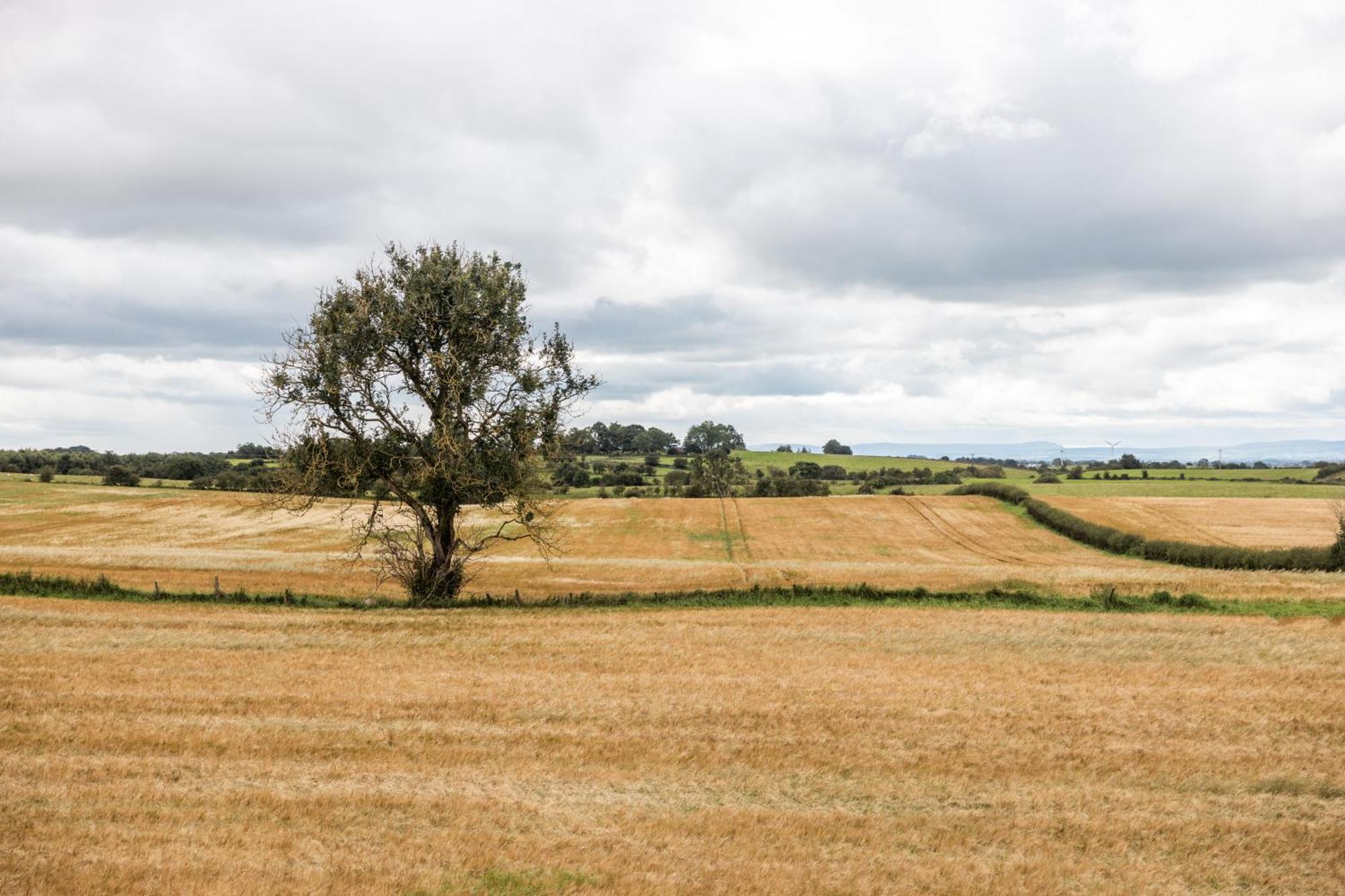 Armoy The Ferns-Ideal Base For Exploring The Causeway Coastヴィラ エクステリア 写真